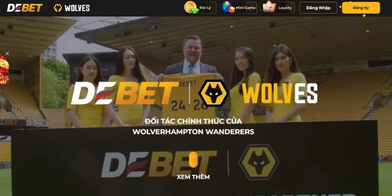 Debet là Wolver là sự hợp tác tốt đẹp